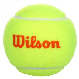tenisové míče Wilson Starter Orange - zvětšit obrázek